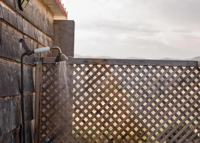 Anemomilos فيلة *