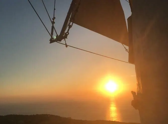 فيلة Anemomilos *